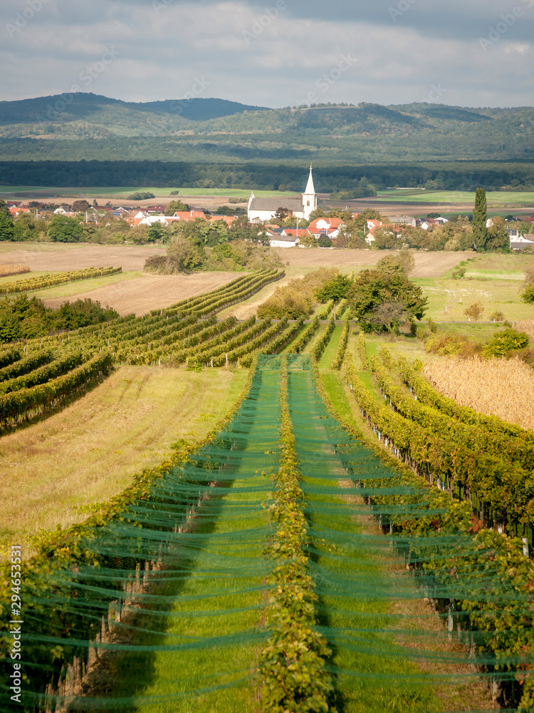Village in Burgenland Austria with vineyards in autumn