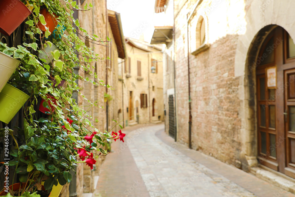 Cozy old Italian street in the heart of Italy. Focus on the plants for background.