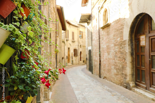 Cozy old Italian street in the heart of Italy. Focus on the plants for background. © zigres