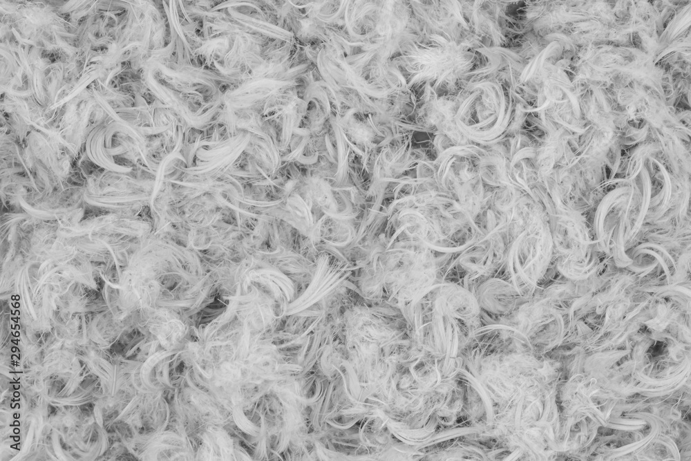 White goose feathers and fluff from pillows texture White goose feathers and fluff from pillows texture