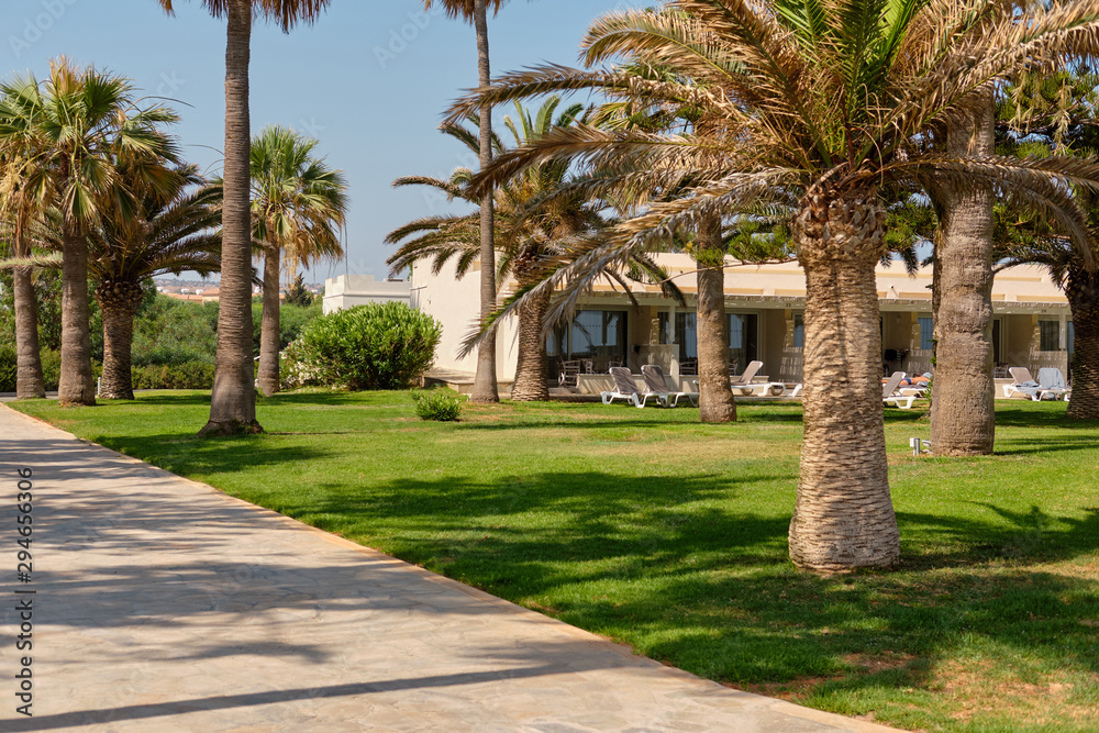 Path with palms leading to the hotel located at the azure mediterranean sea and surrounded by a beautiful nature of Cyprus. Ayia Napa.