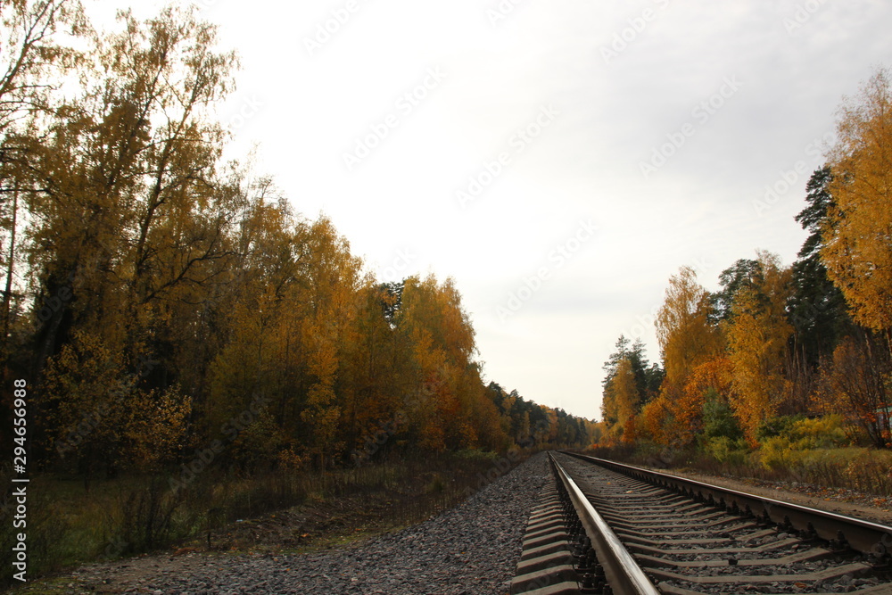 Fototapeta premium rail road track in autumn colorful forest with blue cloudy sky