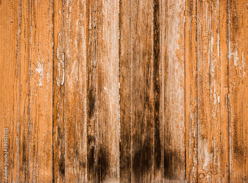 wood texture from wide dry boards