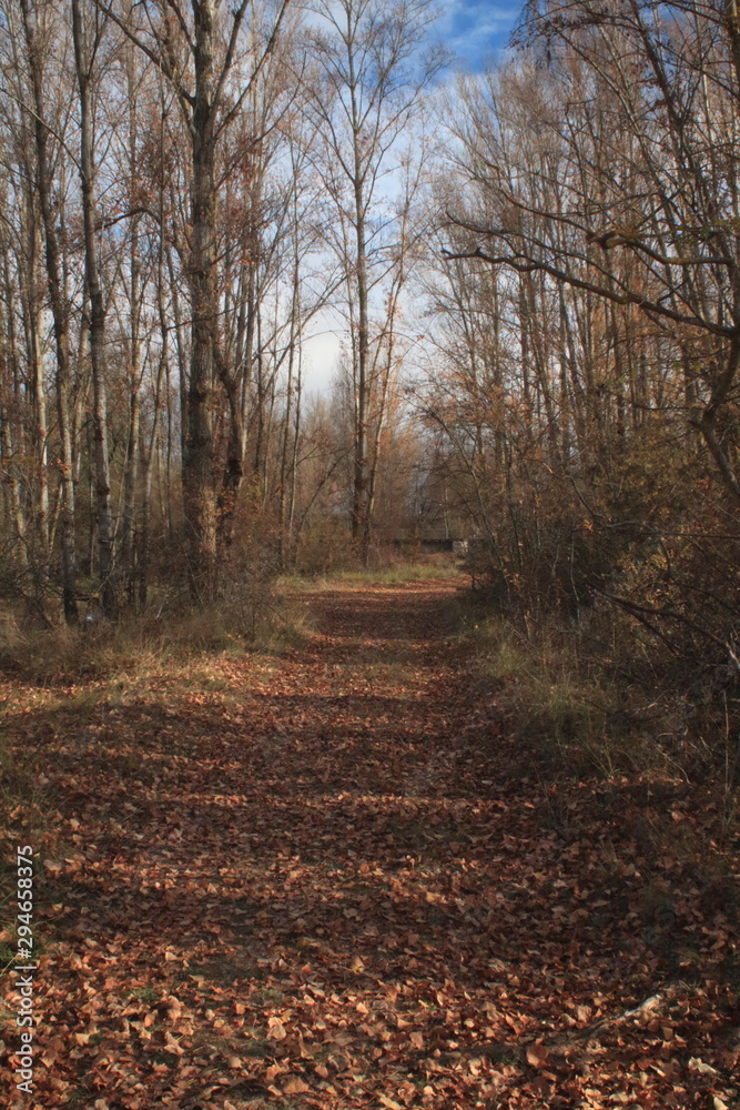 Obraz premium Paisajes