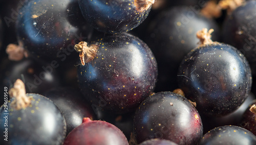 Ripe blackcurrant berries as a background