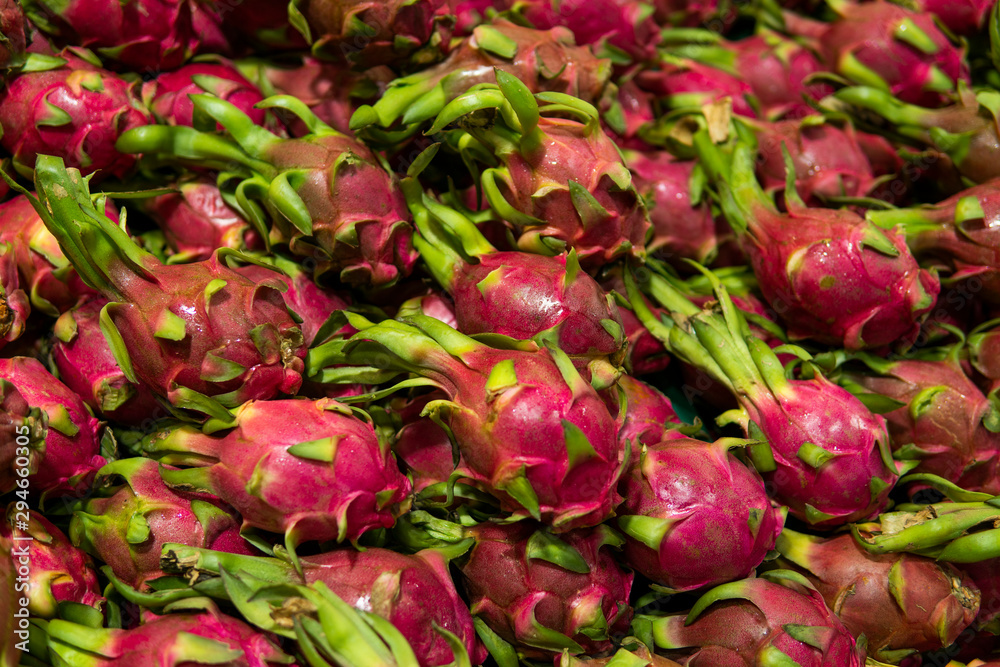 Dragon fruit with a lots of dragon fruit on a background. Dragon fruit or pitaya. Tropical and exotic fruits. Healthy and vitamin food concept. Dragon fruit with a lots of dragon fruit on a background. Dragon fruit or pitaya. Tropical and exotic fruits. Healthy and vitamin food concept.
