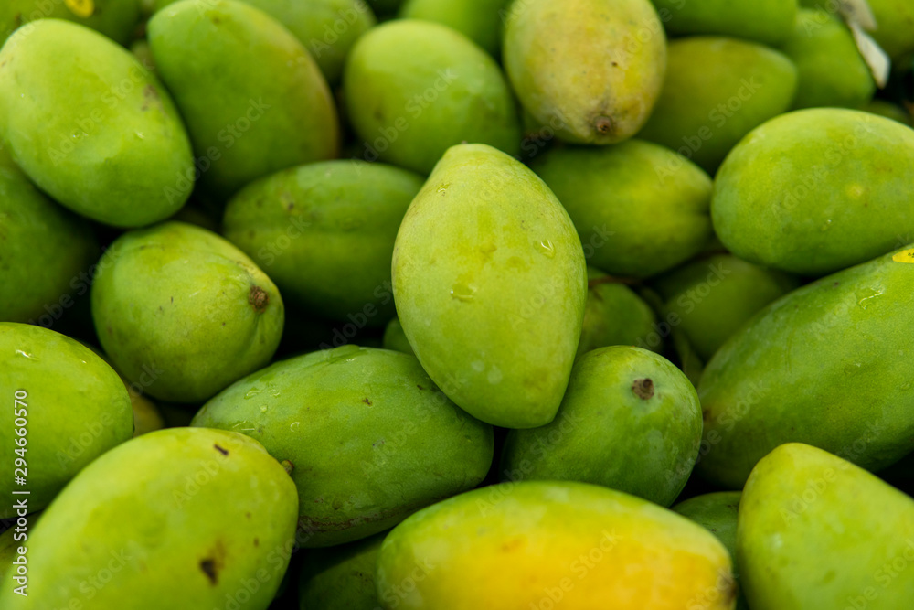 Texture of green juicy fresh mango fruit. Group of fresh green mango for sell .Thai fruit tropical raw mangoes. Tropical and exotic fruits. Healthy and vitamin food concept. Texture of green juicy fresh mango fruit. Group of fresh green mango for sell .Thai fruit tropical raw mangoes. Tropical and exotic fruits. Healthy and vitamin food concept.