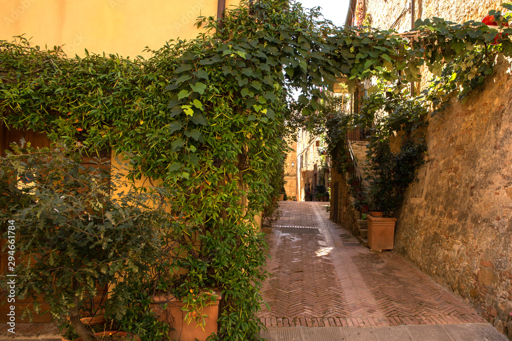 Fototapeta premium Small alley in the center of Pienza, little town in Italy.