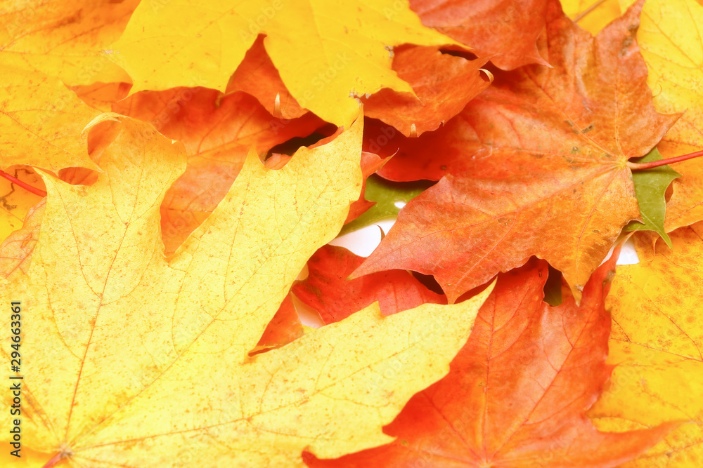 Yellow, green, red leaves of trees. Yellow, green, red leaves of trees.