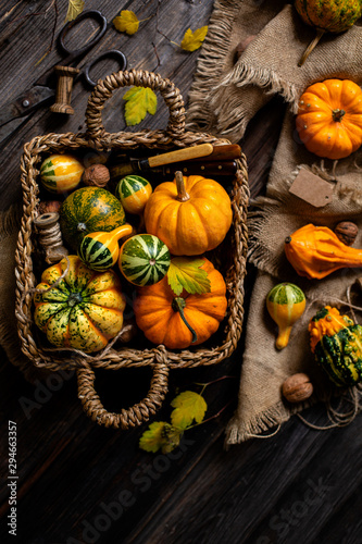 overhead shot of assorted small colorful pumpkins in wicker straw basket on rustic wooden thanksgiving table on sackcloth