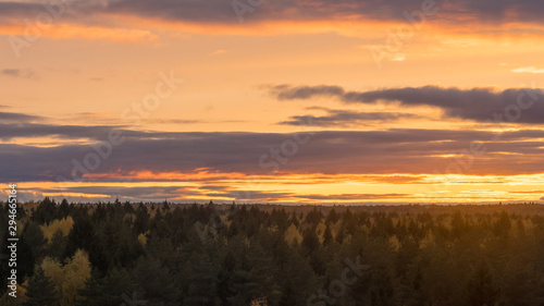 Beautiful orange sunset sky with clouds over autumn forest on horizon