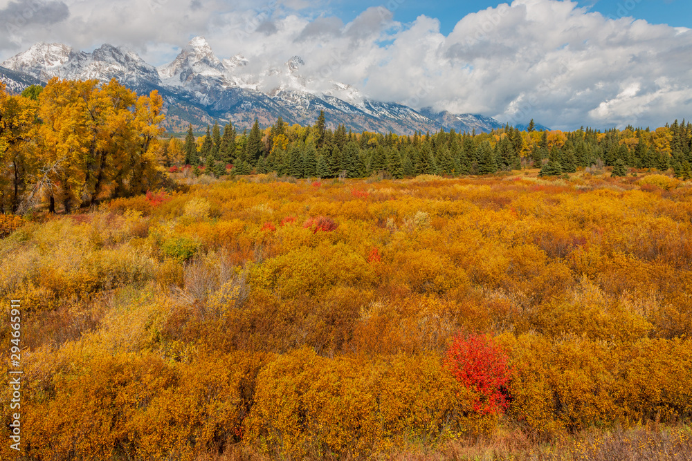 Scenic Autumn Landscape in the Tetons Scenic Autumn Landscape in the Tetons