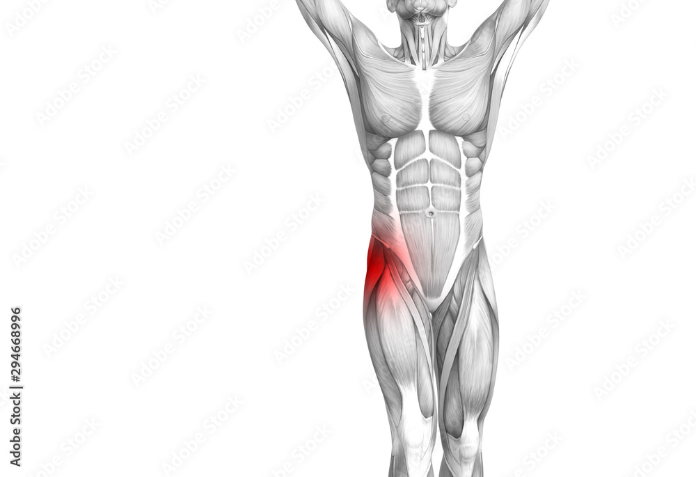 Conceptual hip human anatomy with red hot spot inflammation articular joint pain for leg health care therapy or sport muscle concepts. 3D illustration man arthritis or bone sore osteoporosis disease