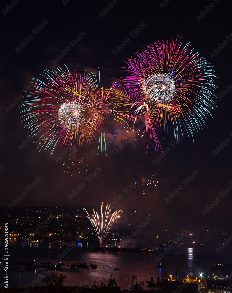 Colorful fireworks to celebrate the special occasions like New Year or Independence Day