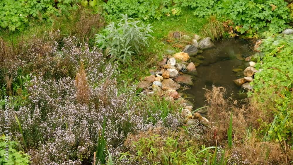Idyllic green garden scenery with a pond during a rainfall in October in Germany