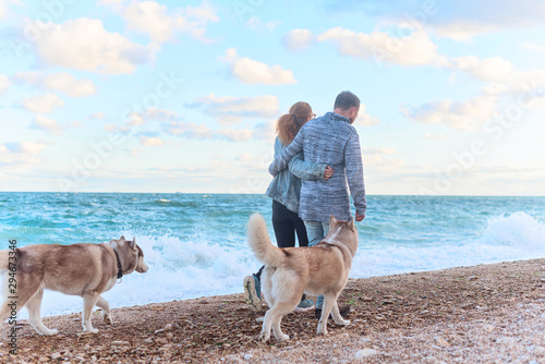 Back view of couple of lovers walking along the coast with husky dogs
