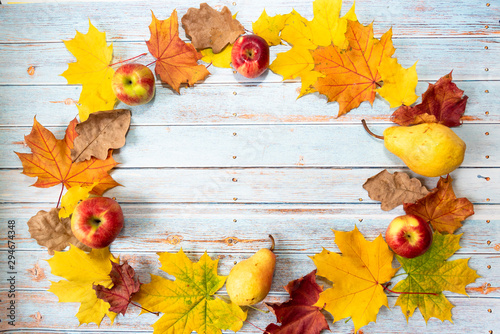 Oval composition made from pears, apples and colorful maple leaves with space for text on a blue wooden table. Autumn harvest concept. Copy space