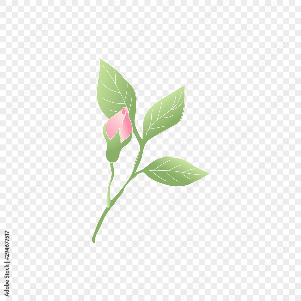 Fototapeta premium Isolated pink flower. Vector floral