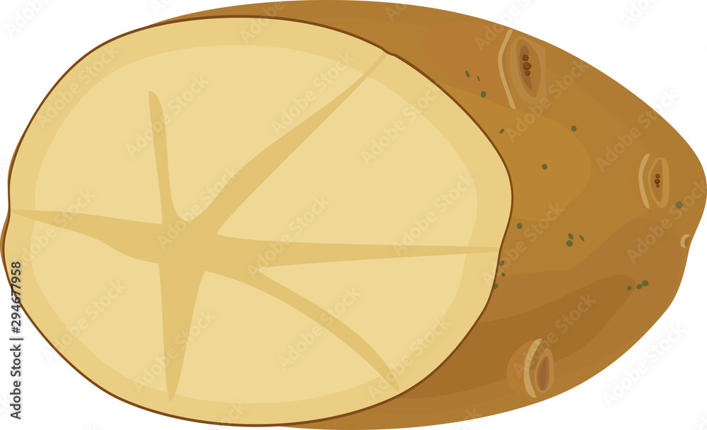 Potato tuber in section isolated on white background Potato tuber in section isolated on white background