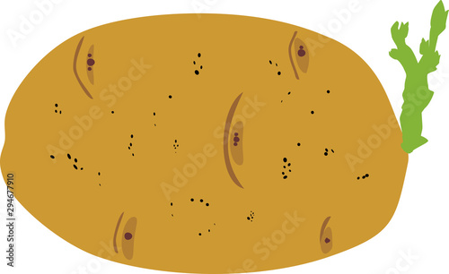 Sprouted potato tuber in flat style