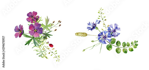 Wallpaper Mural Two watercolor compositions of wild flowers on white background Torontodigital.ca