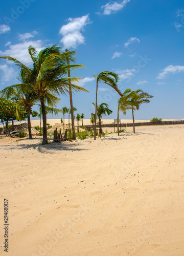 beach  palm  tropical  sea  sand  tree  ocean  sky  paradise  island  landscape  summer  coconut  nature  coast  blue  vacation  palm tree  palms  water  travel  caribbean  resort  holiday  beautiful