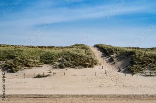 Dunes in Zandvoort aan Zee/Netherlands