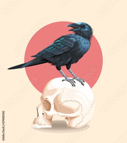 Vector illustration of raven on the skull