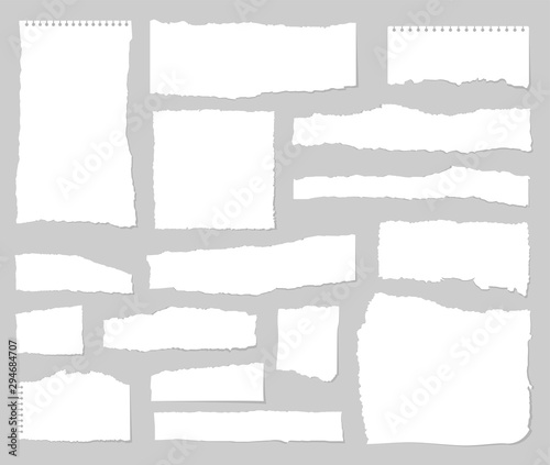 Torn sheets of paper. Set of torn paper. Paper waste.Vector graphic