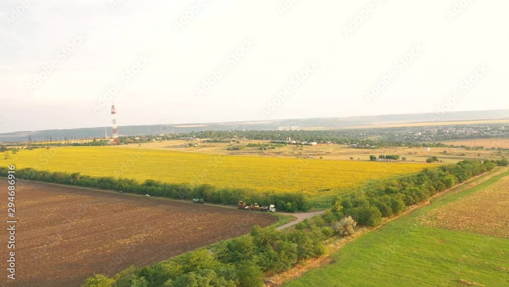Drone view of rural landscape. Sunflowers fields and plowed field Drone view of rural landscape. Sunflowers fields and plowed field