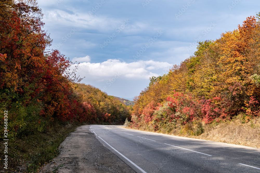 The road through the autumn forest.