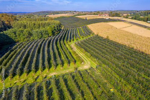 Kovačevac (Municipality of Rovišće, Bjelovar Bilogora County, Croatia) from above 