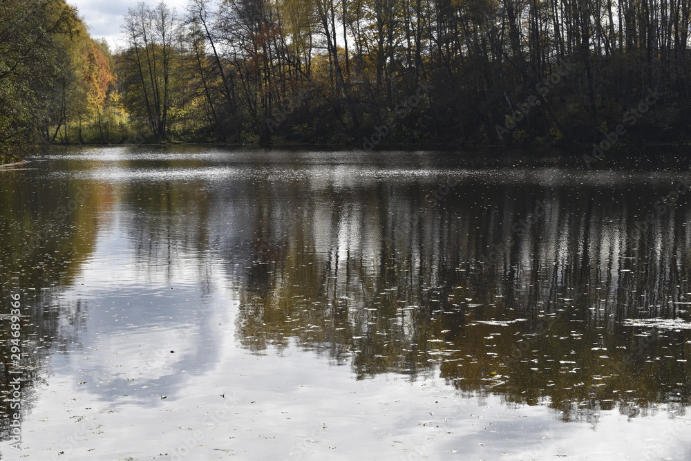 Obraz premium reflection of trees in water