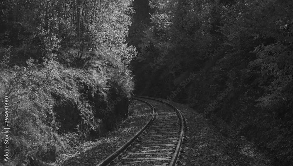 Fototapeta premium Railway track over valley in color autumn morning in national park Sumava