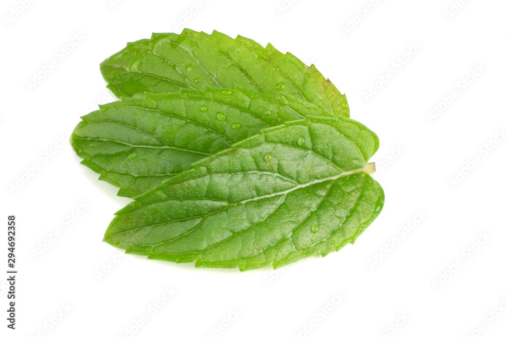 Fresh mint leaves isolated on white background. top view Fresh mint leaves isolated on white background. top view