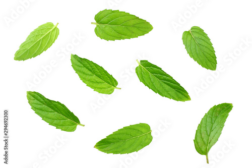 Fresh mint leaves isolated on white background. top view © Tatiana