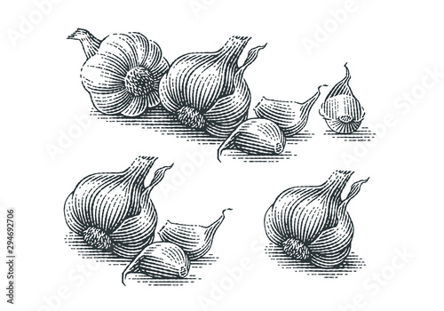 Garlic composition. Hand drawn engraving style illustrations. photo