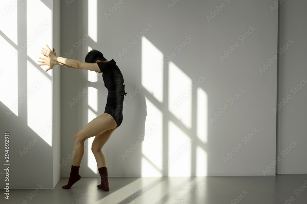 Contemporary Dancer Contemporary Dancer