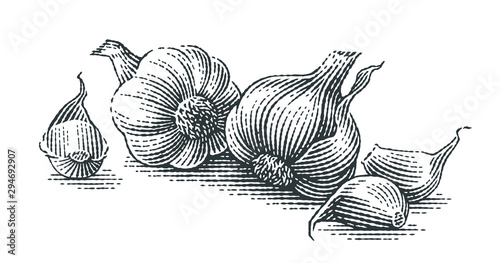 Garlic composition. Hand drawn engraving style illustrations.