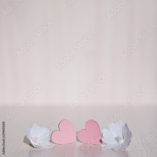 Two hearts. Background for congratulations with pink hearts. Valentine's Day. Hearts and white flower.