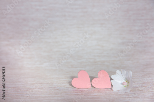 Two hearts. Background for congratulations with pink hearts. Valentine's Day. Hearts and white flower.