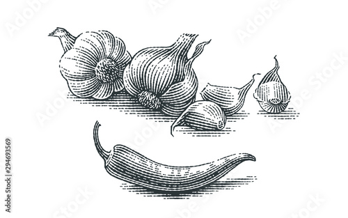 Garlic and chili pepper composition. Spice. Hand drawn engraving style illustrations. photo