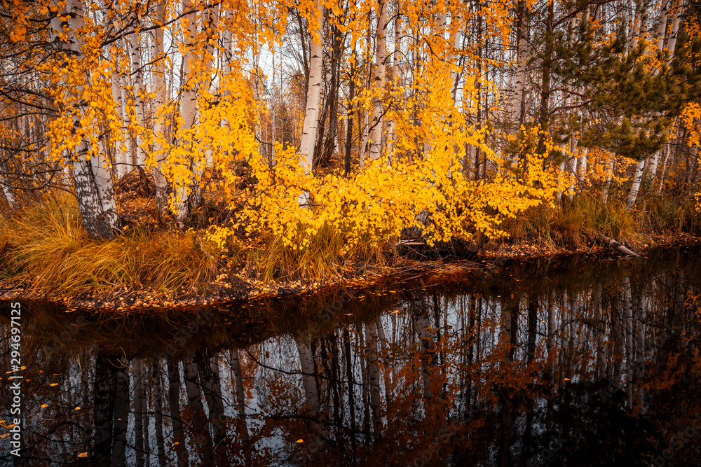 Obraz premium Красивый осенний лес отражается в зеркале пруда