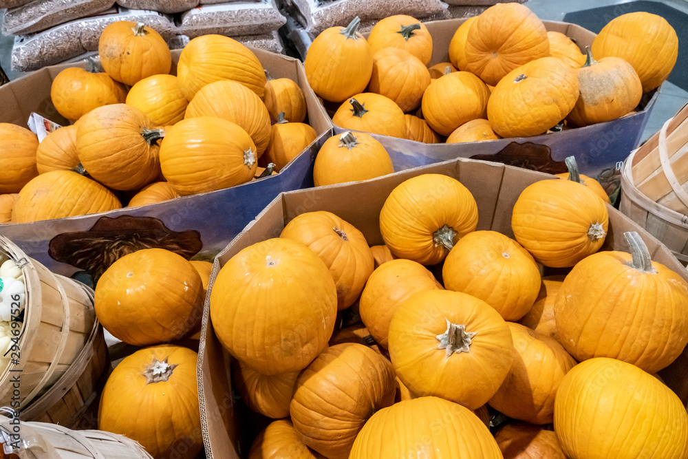 Heap of Pumpkins for sale at a supermarket produce section Heap of Pumpkins for sale at a supermarket produce section