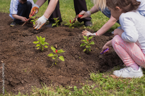Volunteering families