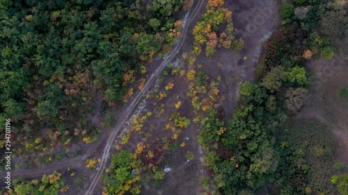 Aerial view of autumn foresy with bit trees. Drone video autumn forest photo