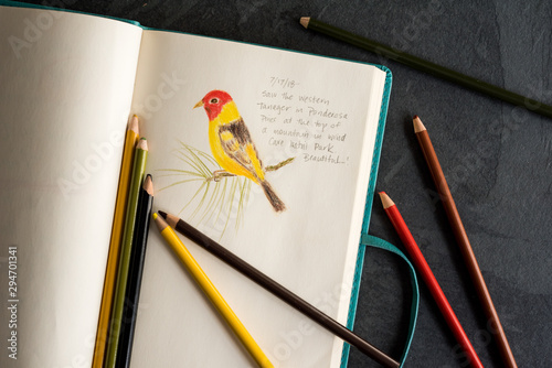 Bird Sketch in a Sketchbook