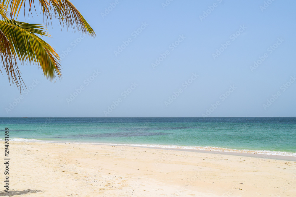 white beach with palm and turquoise ocean