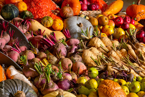 Harvested crop of autumn vegetables root vegetables and fall colours