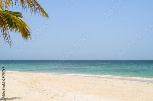 white beach with palm and turquoise ocean